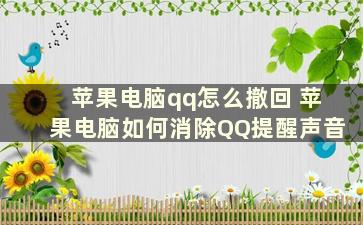 苹果电脑qq怎么撤回 苹果电脑如何消除QQ提醒声音